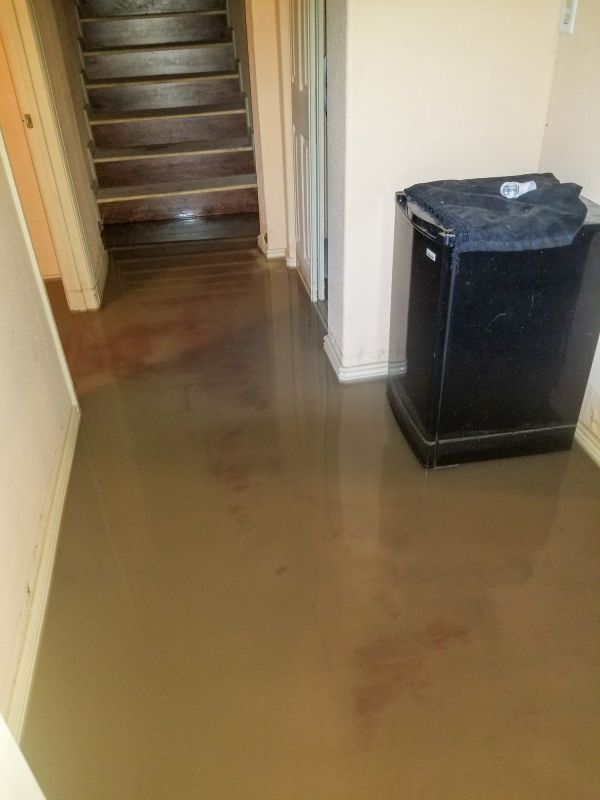 Wet Basement Repair